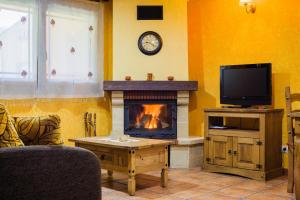 Caboalles de Abajo阿必瑟田园公寓酒店的客厅设有壁炉和电视。