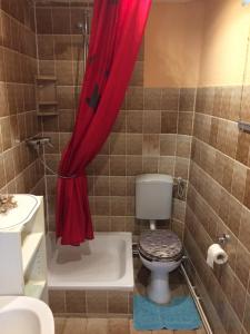 汉堡格罗高尔迷人度假屋的浴室设有卫生间和红色的淋浴帘