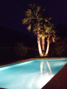 圣保罗-德旺斯Au vallon rouge (Suite double)的游泳池,晚上有两棵棕榈树