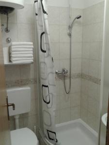 克瑞罗Apartments Toma Bajnice Directly的带淋浴、卫生间和盥洗盆的浴室