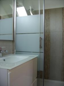 凯泽贝尔Marcia Donatti - A l'Ombre des Coteaux Sao Paulo的浴室配有盥洗盆和带镜子的淋浴