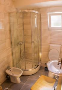 RopaApartments Frano Ropa的带淋浴、卫生间和盥洗盆的浴室