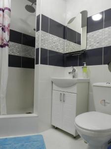 切尔尼戈夫Apartment on Mstyslavs'ka的浴室配有卫生间、盥洗盆和浴缸。