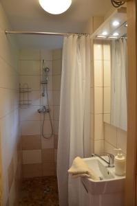 霍尼普拉纳Chata Nela的浴室配有淋浴帘和盥洗盆。