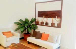 圣萨尔瓦多Cinco Hotel B&B的客厅配有白色沙发和植物