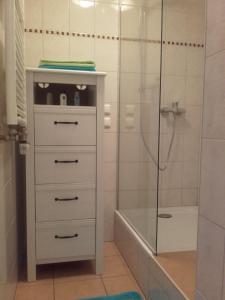 基尔Apartment-unter-Reet的一间带白色梳妆台和淋浴的浴室