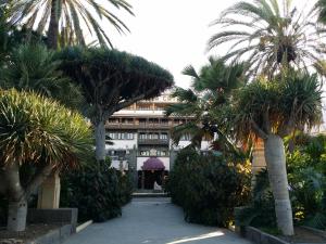 大加那利岛拉斯帕尔马斯Casa Cafer的一座楼前种有棕榈树的庭院