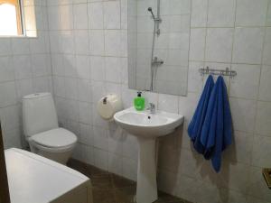 派尔努Jaani 2-1 Apartment的一间带水槽、卫生间和镜子的浴室