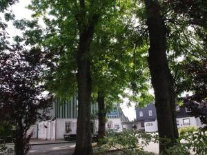 温特贝格Comfortable Holiday Home in Neuastenberg的白色建筑前的一群树木