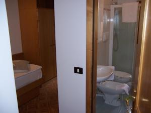 Alpen Hotel Rabbi的一间浴室
