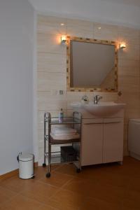 ŚliwiceDom u Ewy Bory Tucholskie的一间带水槽和镜子的浴室