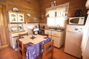 卡维塔Casa Marcellino Lodge的一间带桌子和冰箱的小厨房