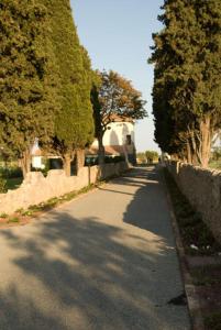 波尔图·埃尔科莱Fonte del Lupo的路边有树木的街道
