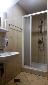 Radlje ob DraviHotel & Hostel Marenberg Radlje的带淋浴和盥洗盆的浴室