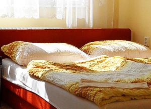 大帕夫洛维采Ubytování ve Vinařství Michna的卧室内的一张带两个枕头的床