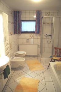 施莱登Ferienwohnung-Geschwind的浴室配有卫生间、淋浴和盥洗盆。