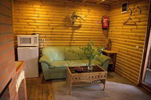 RootsikülaRehe Holiday Home的客厅配有绿色沙发和桌子