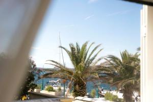 木洛希尼Season4All Apartments的从窗口欣赏棕榈树的景色