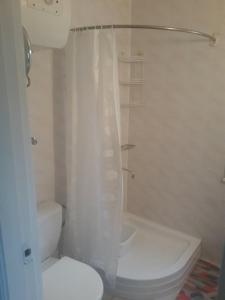帕兰加Rita's Guest House的一间带卫生间和淋浴帘的浴室