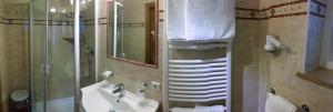 塞尔瓦迪加尔代纳山谷Garni Flurida的一间带水槽和淋浴的浴室