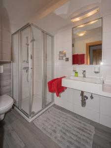 魏勒格费瑞恩霍农加格公寓的带淋浴、盥洗盆和卫生间的浴室
