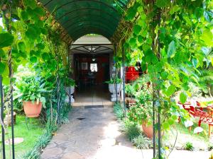 马那瓜拉波萨达德尔阿康热尔住宿加早餐旅馆的花园中种有盆栽植物的拱门
