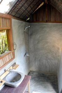 圣玛丽Chez Nath的一间带水槽和淋浴的浴室