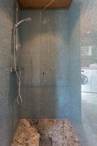 雷讷萨利索奥斯丁公寓的带淋浴的浴室和玻璃门