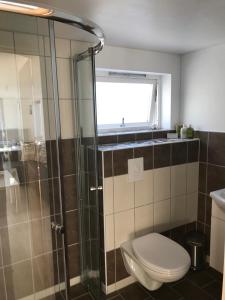 Sætra1-rom Apartment Sommer - Frøya的一间带卫生间和玻璃淋浴间的浴室