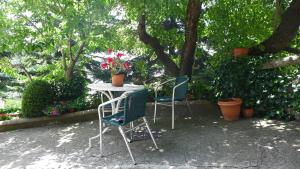 特拉马卡斯蒂拉·德·滕马里亚纳酒店的两把椅子和一张带鲜花的桌子