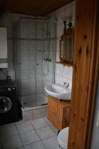博尔滕哈根Zur-alten-Schmiede-I-Links的一间带水槽、淋浴和卫生间的浴室