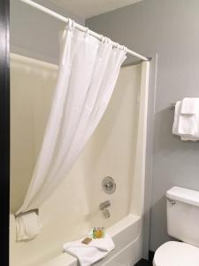 锡尔弗斯塔斗牛犬酒店的一间带白色淋浴帘的浴室