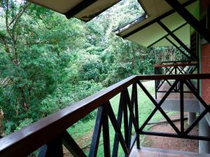 La Selva Biological Station的阳台或露台