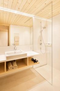 布雷根茨沃尔德地区奥塔纳豪夫酒店的一间带水槽和淋浴的浴室