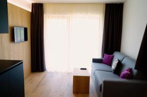 奥蒂塞伊拉尔西乌内公寓式酒店的带沙发和大窗户的客厅