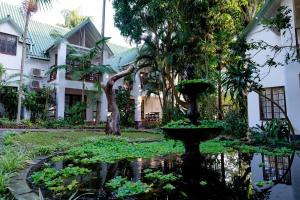 圣卢西亚St Lucia Eco Lodge的一座花园,位于一座带喷泉的建筑前