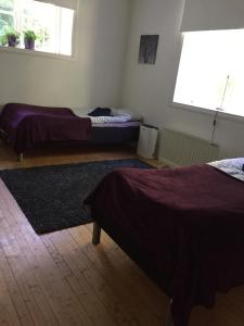 恩舍尔兹维克Domsjö Apartment的一间带两张床的卧室和地毯