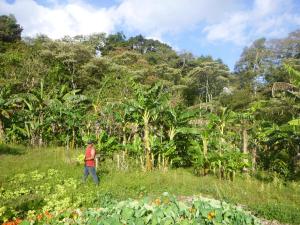 埃斯特利Finca Lindos Ojos的相册照片