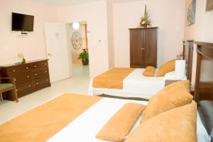太子港Allamanda Hotel的一间酒店客房,设有两张床和电视
