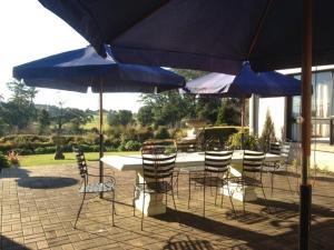 罗伯逊格林门住宿加早餐酒店的庭院内一张带蓝伞的桌子和椅子