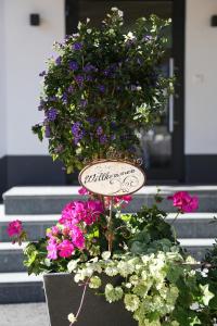 加尔蒂阿尔宾纳酒店的门前种满鲜花的种植园