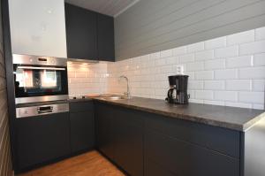 安德内斯Lankanholmen的厨房配有黑色橱柜、水槽和炉灶。