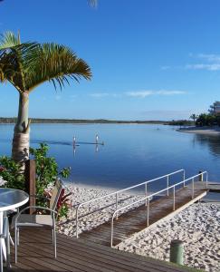 努萨维尔船长湾海滨度假酒店的水边的棕榈树码头