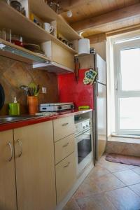 萨摩斯Dolichi Studio的小厨房配有炉灶和冰箱