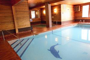 基洛纳迪尔沃思旅馆的中间有一个海豚游泳池