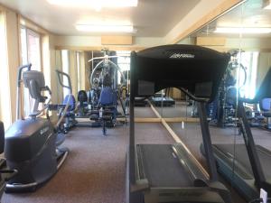 马姆莫斯湖太阳石山林小屋由101巨逍遥管理的健身房设有跑步机和健身器材