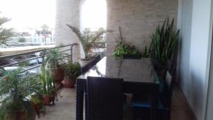 达布阿扎Perle de Tamaris的一间种植了盆栽植物的房间,一张桌子和椅子