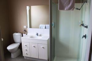 朗塞斯顿运动员酒店的浴室配有卫生间、盥洗盆和淋浴。