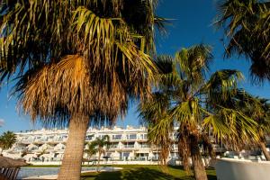 塔里法Livingtarifa Apartamento La Isla的前面有棕榈树的酒店