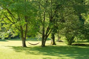 拉格斯拉加茨城堡酒店的公园内两棵树之间的吊床